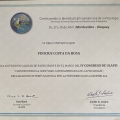 Ampliar imagem: certificate 6