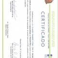 Ampliar imagem: certificate 1