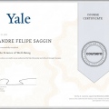 Ampliar imagem: certificate 3