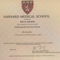 Ampliar imagem: certificate 5