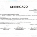 Ampliar imagem: certificate 13