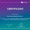 Ampliar imagem: certificate 4