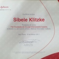 Ampliar imagem: certificate 1