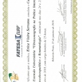 Ampliar imagem: certificate 4