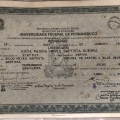 Ampliar imagem: certificate 63