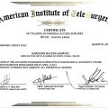 Ampliar imagem: certificate 5