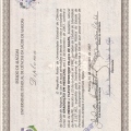 Ampliar imagem: certificate 6