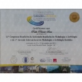Ampliar imagem: certificate 10