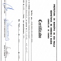 Ampliar imagem: certificate 12