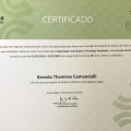 Ampliar imagem: certificate 4