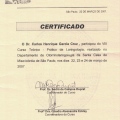Ampliar imagem: certificate 12