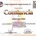Ampliar imagem: certificate 19