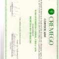 Ampliar imagem: certificate 23
