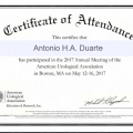 Ampliar imagem: certificate 8