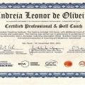 Ampliar imagem: certificate 5