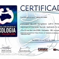 Ampliar imagem: certificate 152