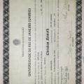 Ampliar imagem: certificate 3