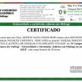 Ampliar imagem: certificate 9