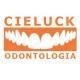 Davi de Carli Cieluck