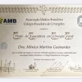 Ampliar imagem: certificate 3