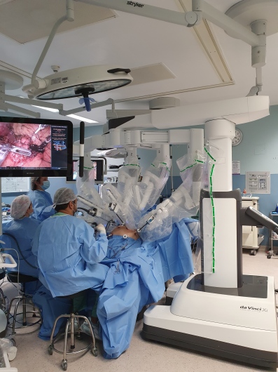 Rafael Mello Fontolan Vieira-2