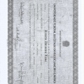 Ampliar imagem: certificate 7