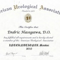 Ampliar imagem: certificate 9