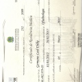 Ampliar imagem: certificate 1