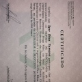 Ampliar imagem: certificate 1