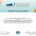 Ampliar imagem: certificate 6