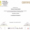 Ampliar imagem: certificate 4