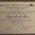 Ampliar imagem: certificate 4