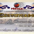 Ampliar imagem: certificate 5