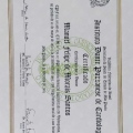 Ampliar imagem: certificate 4