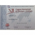 Ampliar imagem: certificate 3