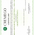 Ampliar imagem: certificate 9