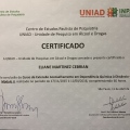 Ampliar imagem: certificate 7