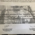 Ampliar imagem: certificate 5