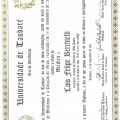 Ampliar imagem: certificate 8