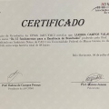 Ampliar imagem: certificate 5