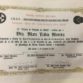 Ampliar imagem: certificate 4