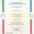 Ampliar imagem: certificate 3