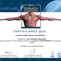 Ampliar imagem: certificate 13