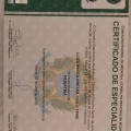 Ampliar imagem: certificate 1
