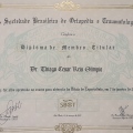 Ampliar imagem: certificate 10