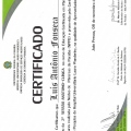 Ampliar imagem: certificate 1