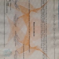 Ampliar imagem: certificate 3