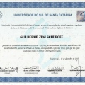 Ampliar imagem: certificate 1