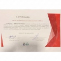 Ampliar imagem: certificate 29