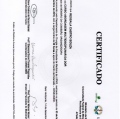 Ampliar imagem: certificate 20